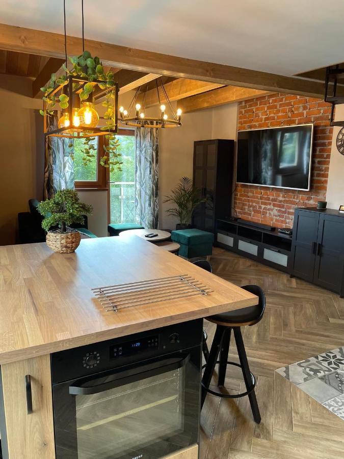 Apartamenty Miejscowka - Apartamenty Z Widokiem Na Gory - Bezplatny Parking Закопане Экстерьер фото